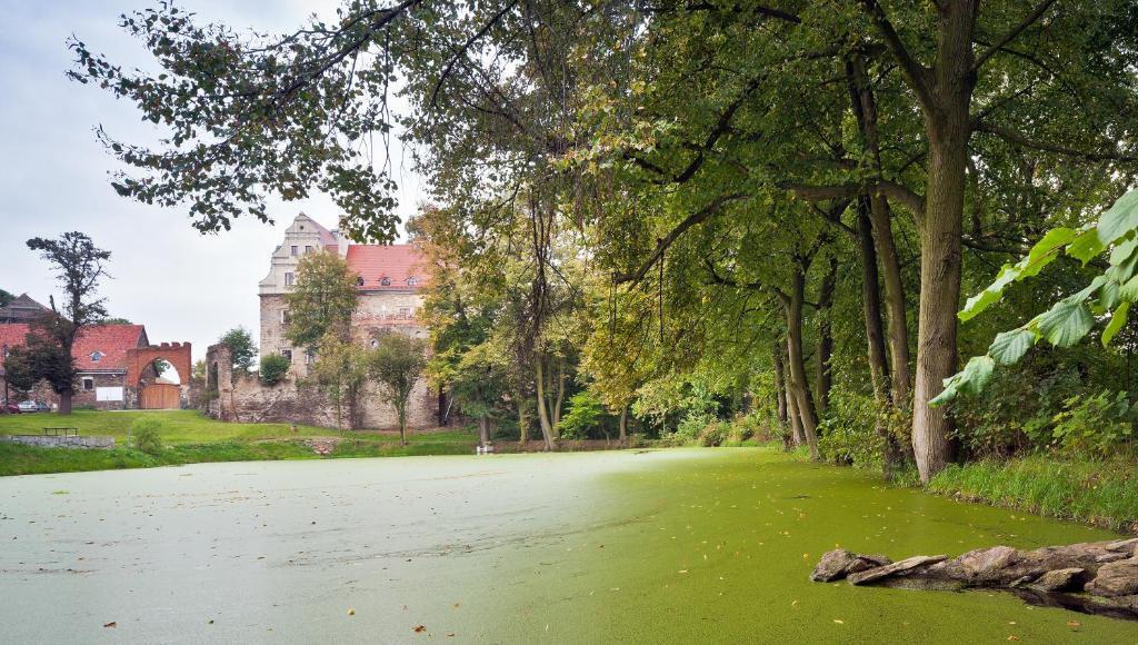 Hotel Uroczysko Siedmiu Stawow Gola Dzierżoniowska Exterior foto